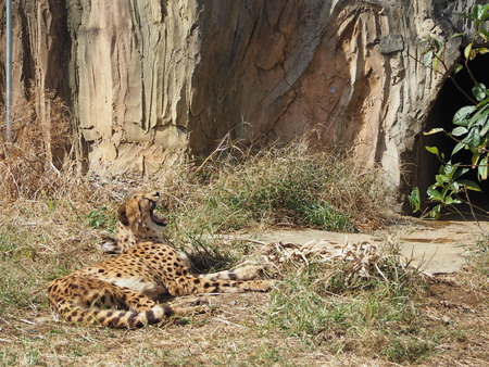 2021.11.14 �����ݻԡ��彽����ư��ʪ�ࡡ�������PB136187