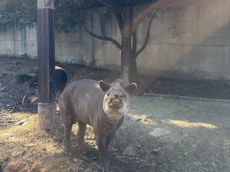 Ĺ��Х����ѡ������֥饸��Х�IMG_0314