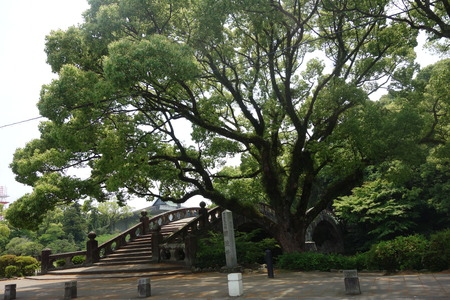 3-諫早公園 昼DSC05751