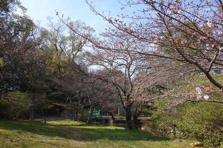 13-���DSC05266