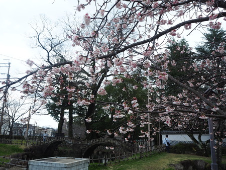 2-諫早公園P2220183