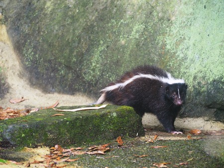 2021.07.04Ĺ��Х����ѡ���P7038366