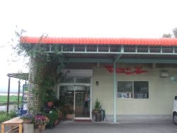 ma-3DSCF4941