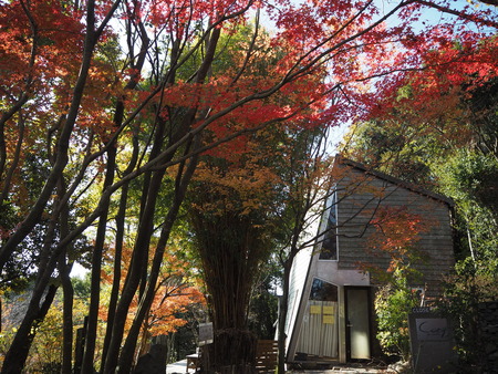 8-諫早市森山町 ア アラ ハーバル バー長崎PC052500