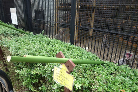 13-Ĺ���ưʪ�Ҥ���DSC09498