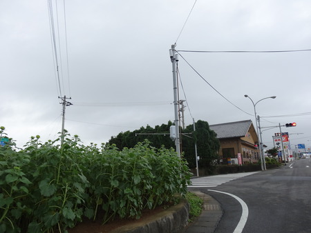 2-DSC03708