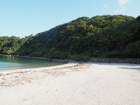 2023.07.24������������Į����곤����쥭���׾�P1018485