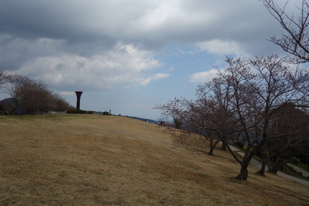 �����������⸶DSC01585