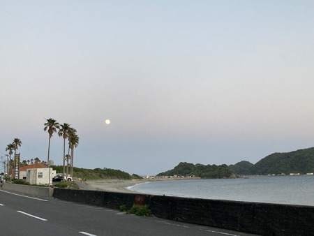 2023.07.11 Ĺºê»ÔÌîÊìºê¡¡ÌîÊì¤ó¤ÁIMG_1080