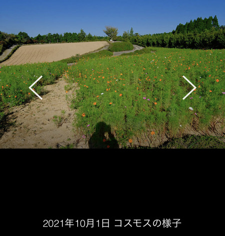 2021.10.02松本つつじ園IMG_6477 (編集済み)
