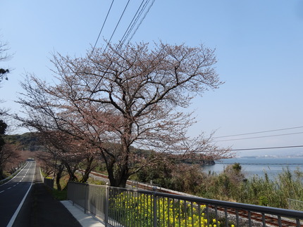10-DSC08435