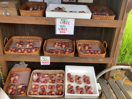 ���餭���ࡡ�����¤�̵�������IMG_3665