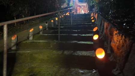 2024.12.31������Ը��Į���������_1735643561550_photo