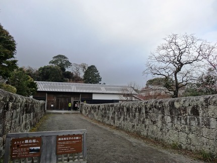 5-神代DSC09008