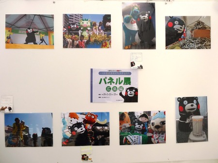 10-DSC05950