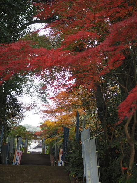 �׻�ǯ���ҡ���PB271382