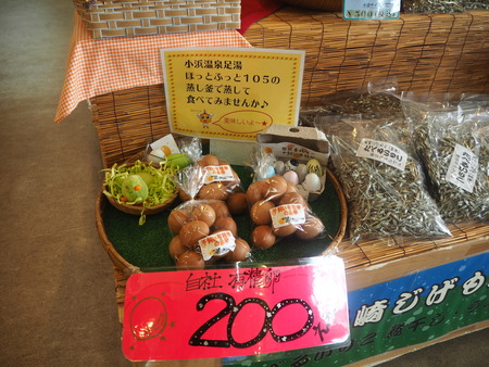 10-±ÀÀç»Ô¡¡À项ÀдѸ÷¥»¥ó¥¿¡¼P8220399