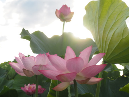 2025.07.26������ϥ���P7270100