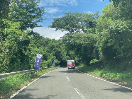 2023.08.29 ����Ծ�Ĺ��Į�����ӥ֥롼�٥꡼��IMG_7110