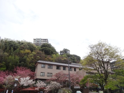 17-ͭ�ϲ���DSC00049