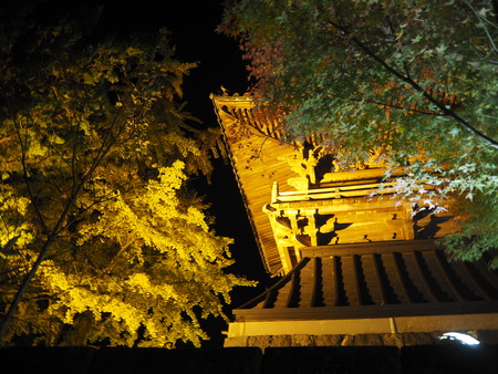 2021.11.17 ����Զ�ëĮ���¾���PB167129