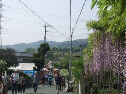 dai-6DSCF6597
