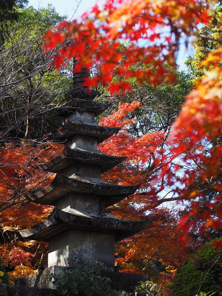 2025.11.28������ԡ�ŷʹ��PB281626