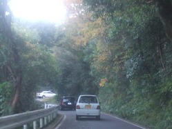 un-2DSCF6367