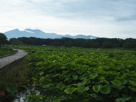 2021.06.18 ԡϥP6174240