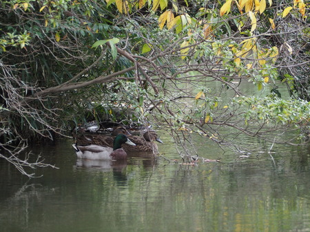 2021.11.21������ԡ����PB187410