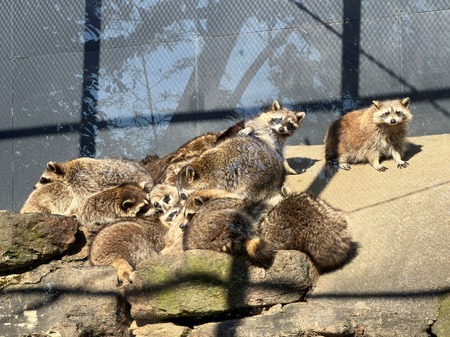 .Ĺ��Х����ѡ��������饤����IMG_0484