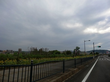 9-���ᾮ�ع�DSC04052