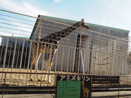 2021.11.14 �����ݻԡ��彽����ư��ʪ�ࡡ�������PB136655