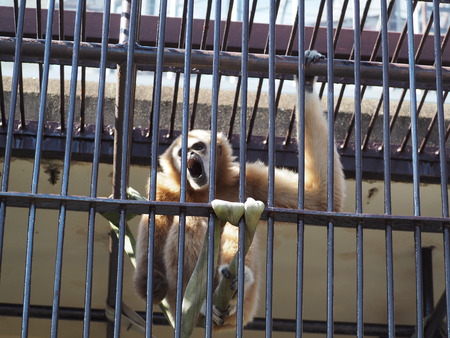 2021.11.14 �����ݻԡ��彽����ư��ʪ�ࡡ�������PB136496