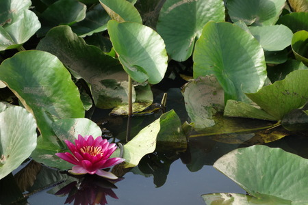 10-��������ϥ���DSC08307