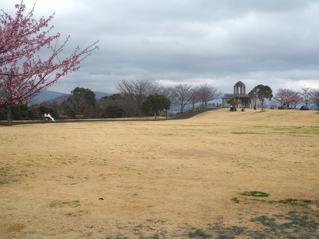 ���������ࡡ�����ε�P2221452