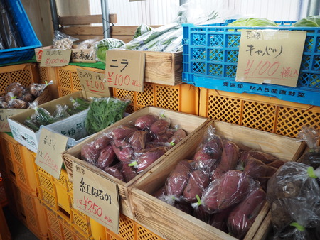 2022.01.14 雲仙市愛野町 無人販売トレベジP1092951