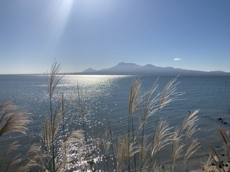 2024.11.09�����ե롼�ĥХ���IMG_7944