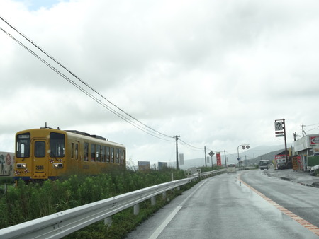 1-DSC03781