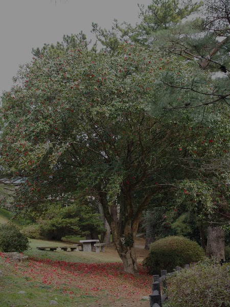 ��ٸи��ࡡ���P3081750