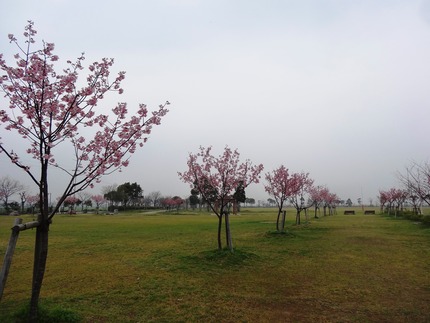 1-DSC08008