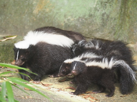 2021.07.04Ĺ��Х����ѡ���P7027788