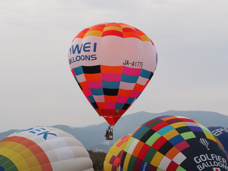 2025¡¡º´²ì¥Ð¥ë¡¼¥ó¥Õ¥§¥¹¥¿P1012417