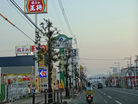 5-DSC06446