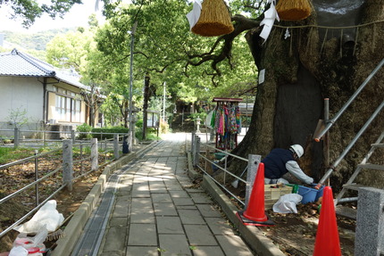 ��-���������Υ�DSC05939