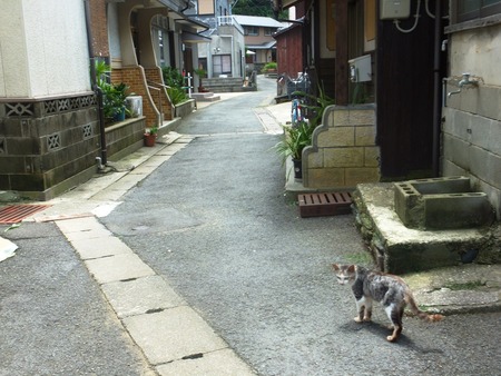 da-3DSCF6041