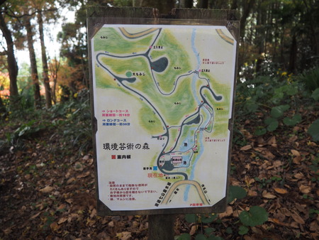 2024.11.22 唐津市 環境芸術の森PB170097