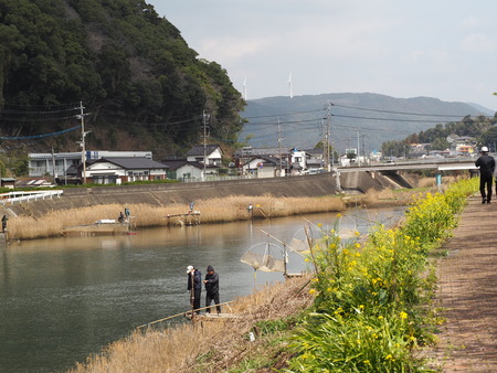 º´¡¹Ä®¡¡²ÏÄźù¤È¥·¥í¥¦¥ªµùP3071461