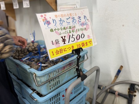 ëÝÁáÏѵù¶¨¾®Ä¹°æÄ¾ÇäŹ ¤æ¤ê¤«¤´¤¢¤µ¤êIMG_0592