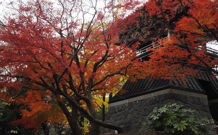 2021.11.24 ����ԡ��¾���PB247920